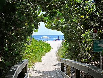 Spring Energy Tune-Up