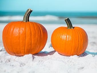 Fall Preparations