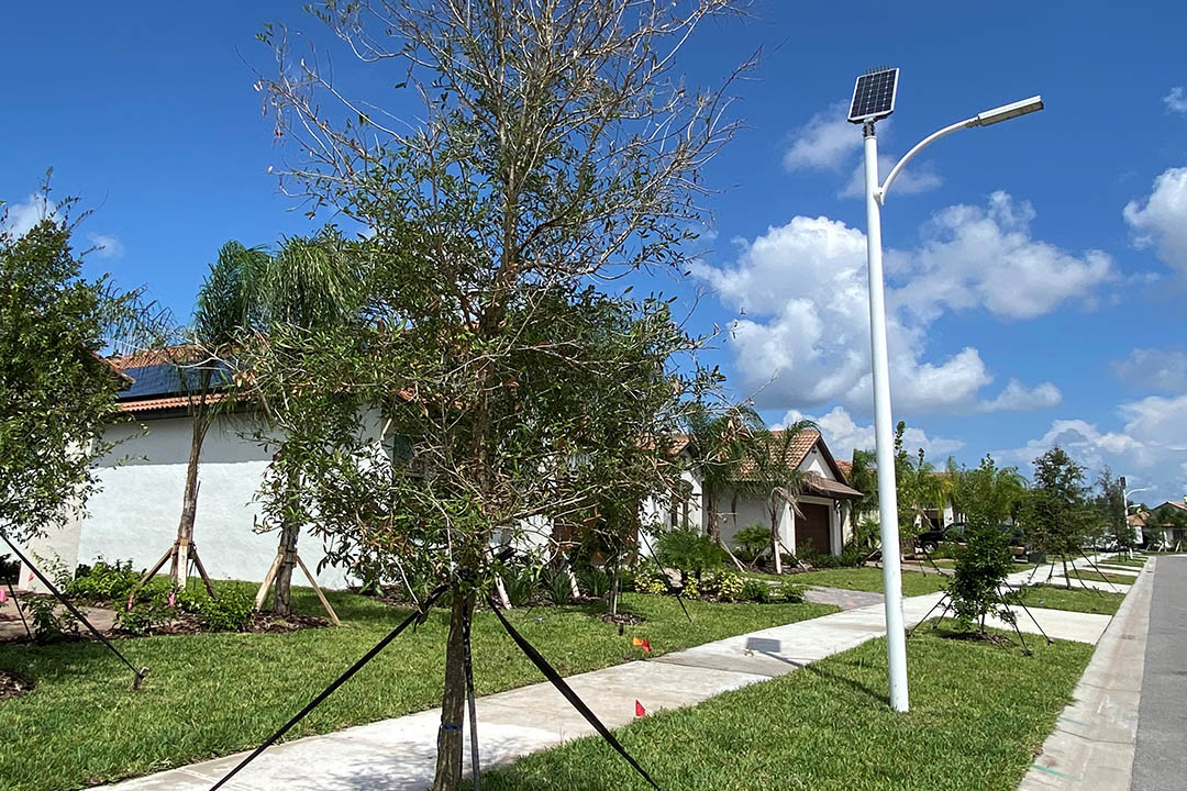 Tampa Electric debuts “sunny” new streetlights 