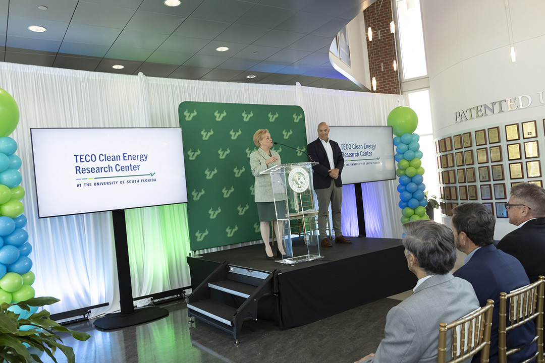 Clean Energy Research Center 4