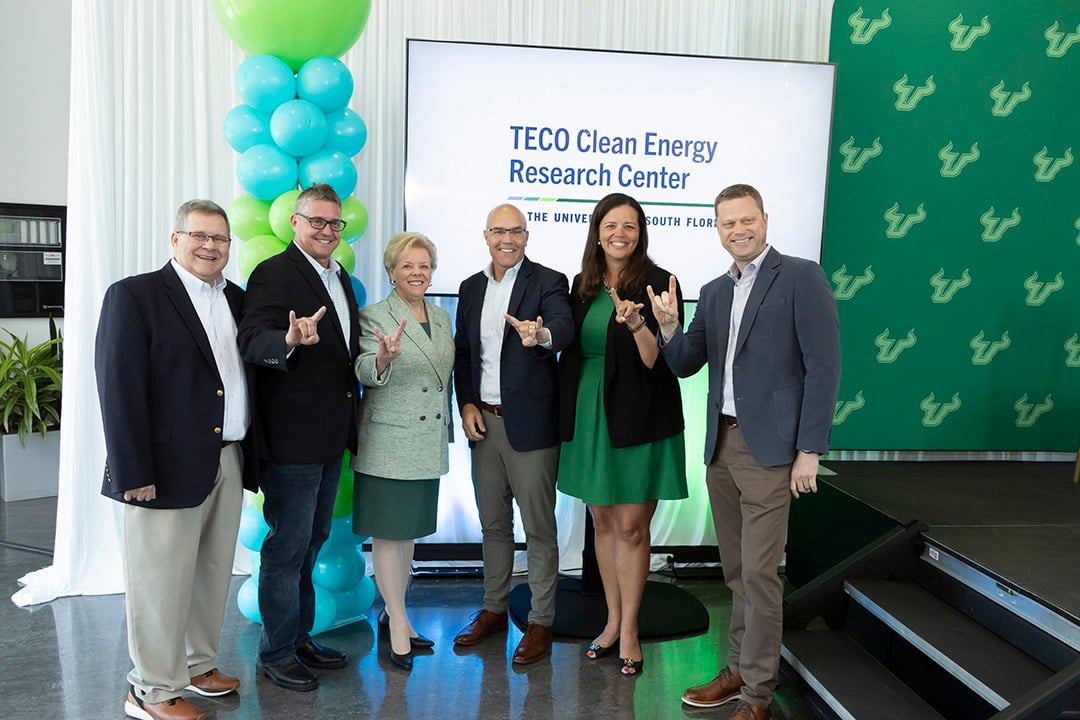 Clean Energy Research Center 5