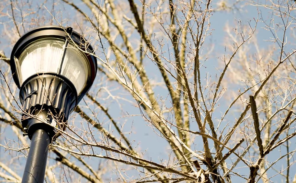 decorative light at the zoo