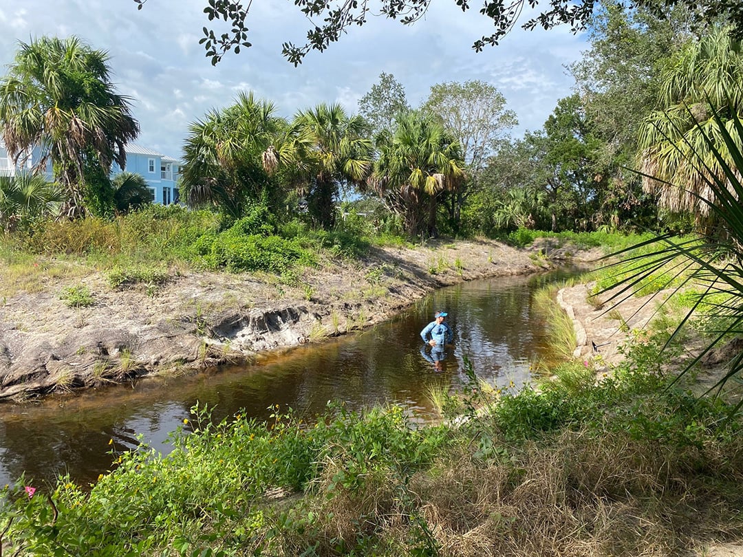 Where Nature Thrives and Paddlers Glide: A Living Shoreline Success
