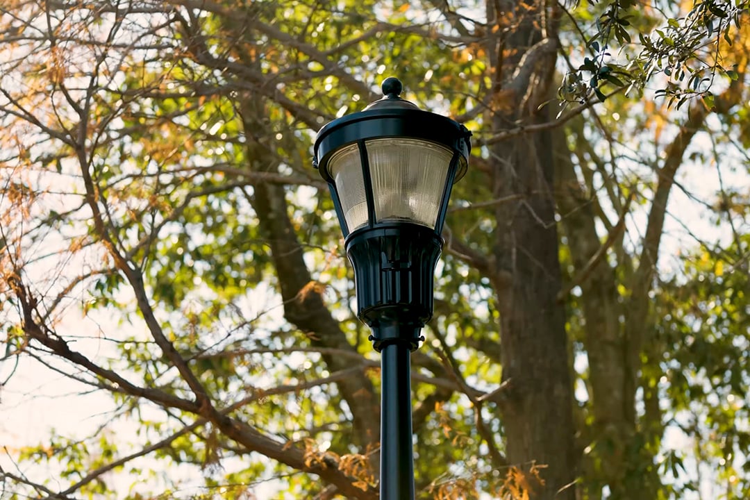 Bright Choices: Tampa Electric's Outdoor Lighting Showcase - ZooTampa